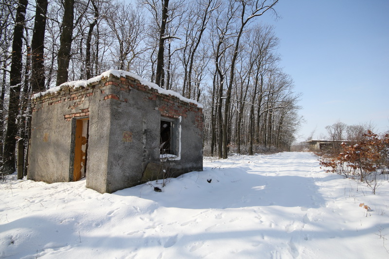 Grányitok a hóban: téli túra a császári szovjet laktanya területén#10